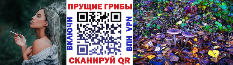 Купить где  Северск  Галлюциногенные грибы мухоморы 